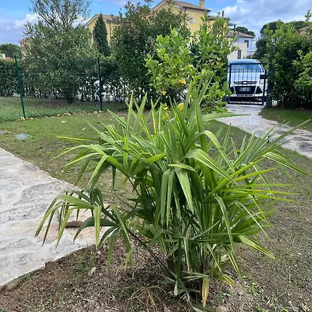 Casa Antia, Nuovo Bilocale Con Giardino In Con Piscina נומאנה