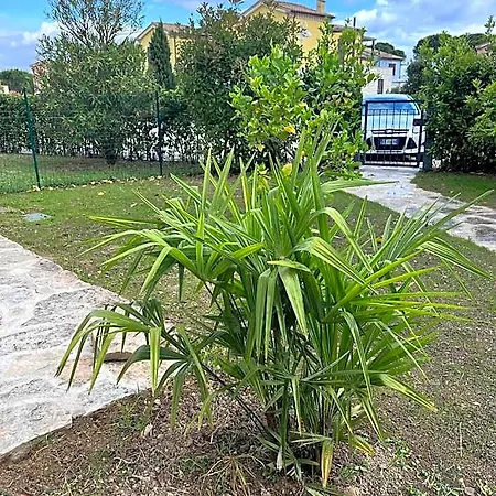 Feriepark Casa Antia, Nuovo Bilocale Con Giardino In Con Piscina *