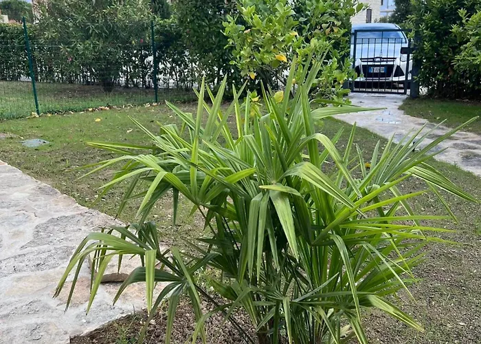 Casa Antia, Nuovo Bilocale Con Giardino In Con Piscina Numana